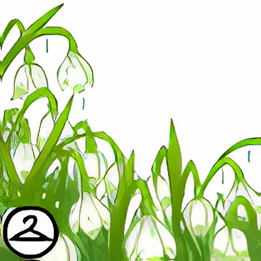 Dewy Snowdrop Flower Foreground