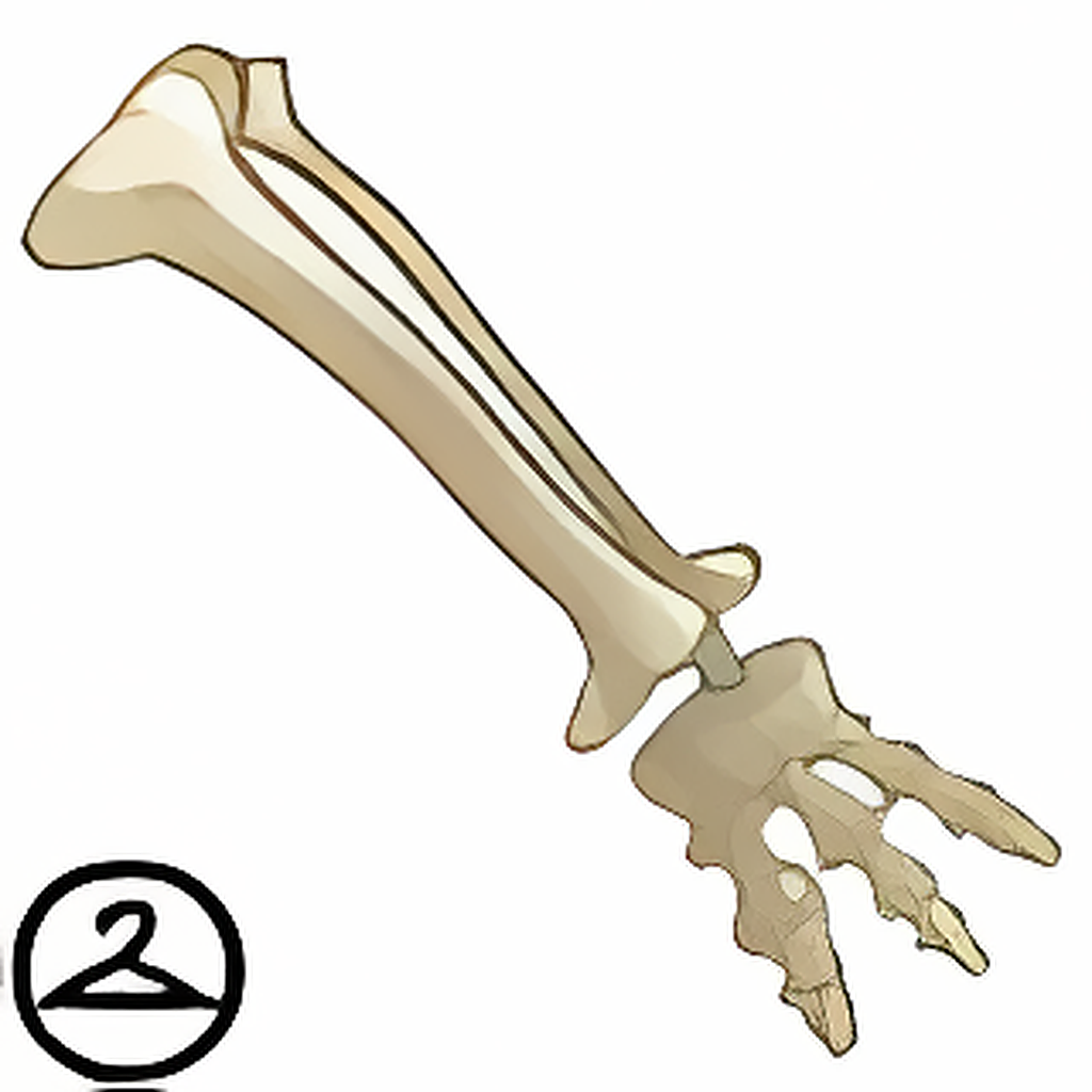 Bone Walking Staff
