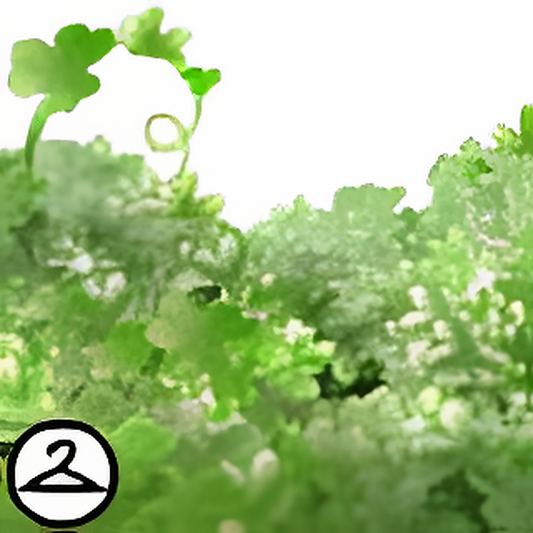 Bed of Shamrock Foreground