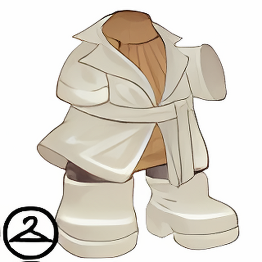 Winter Night on the Town Dressy Outfit