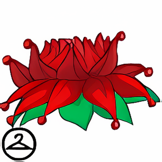 Poinsettia Hat