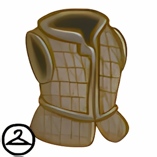 Foot Soldiers Vest