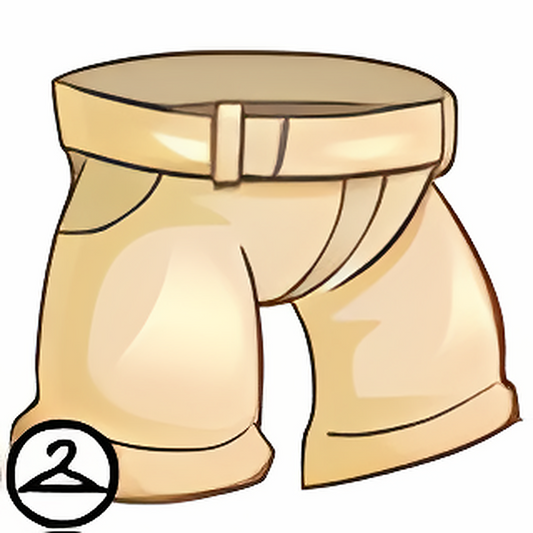 Luxurious Formal Pants