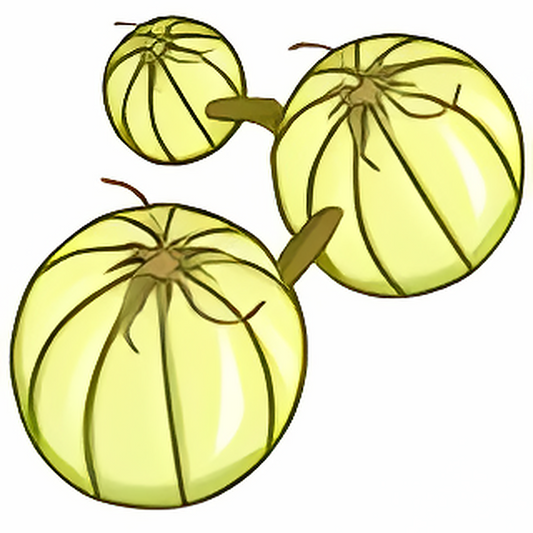 Chain of Onions