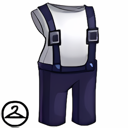 Trendy Aisha Shirt and Trousers
