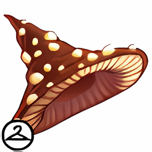 Witchy Mushroom Hat