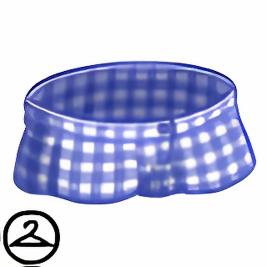 Ocean Blue Gingham Shorts