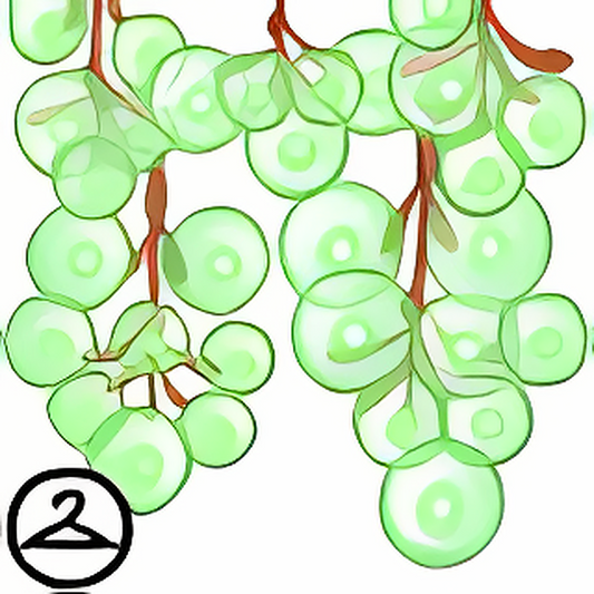 Dyeworks Green: Golden Orb Lights