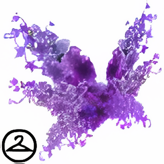 Purple Flowering Vine Wings