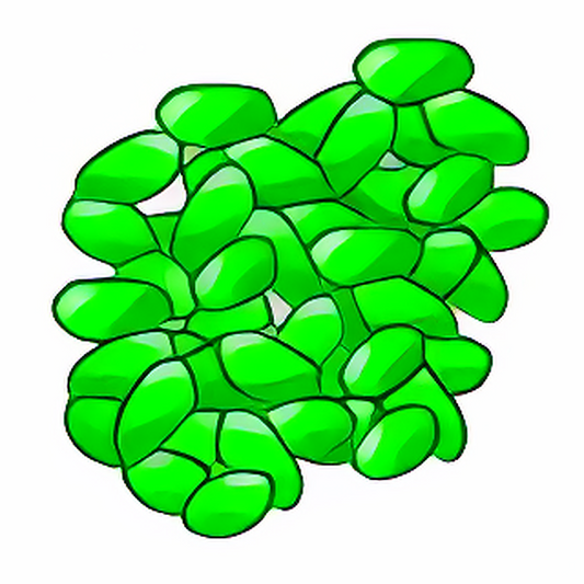 ErgyFruit Jelly Beans
