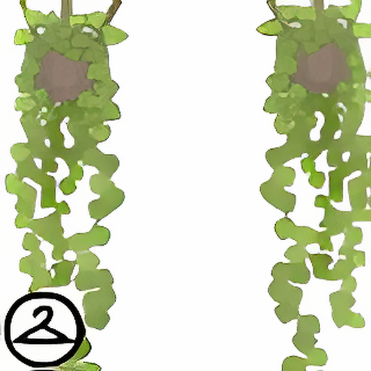 Hanging Planters